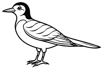 Obraz premium White dove or pigeon isolated on a white background, a beautiful bird illustration perfect for nature and wildlife designs