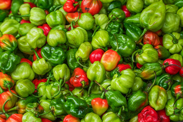 Fresh and organic vegetables at farmers market in Sri lanka.
