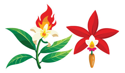 Fiery flower and red orchid botanical illustration