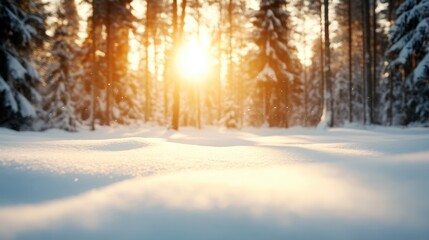 A breathtaking scene of a snowy forest at sunset, the golden light filtering through the trees creates a peaceful ambiance and a sense of serene beauty in nature's embrace.