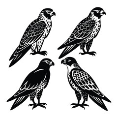 Six different style Owl Silhouette Vector Illustration on white background