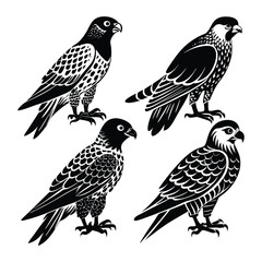 Six different style Owl Silhouette Vector Illustration on white background