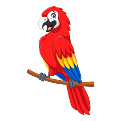Cartoon macaw bird perched on a branch waving its hand on a white background