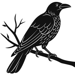 Fototapeta premium bird on a branch