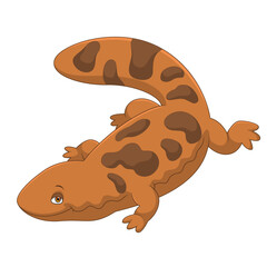 Obraz premium Cartoon chinese giant salamander on white background