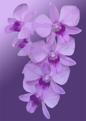 Obraz premium vector image of purple violet orchid flower with purple gradient background 
