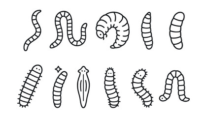 Line style icons of worms and larvae: earthworm, compost worm, grub, mealworm, maggot, caterpillar, glowworm, flatworm, silk moth larva, inchworm.