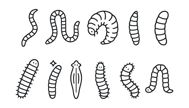 Line style icons of worms and larvae: earthworm, compost worm, grub, mealworm, maggot, caterpillar, glowworm, flatworm, silk moth larva, inchworm.