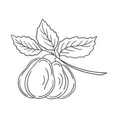 Illustration in hand draw style. Icon, sign, sticker, pin, logo