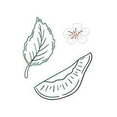 Illustration in hand draw style. Icon, sign, sticker, pin, logo