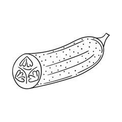 Illustration in hand draw style. Icon, sign, sticker, pin, logo