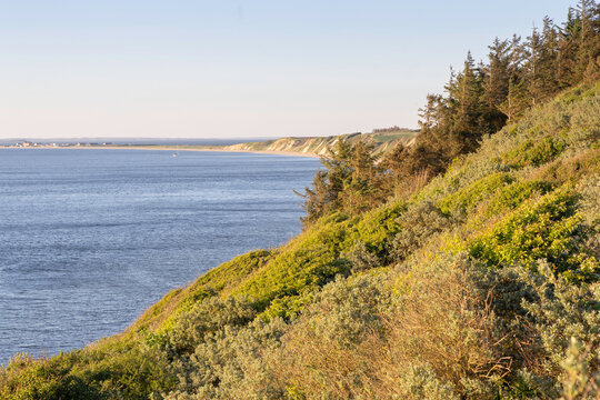 Die 50m hohen Toftum Bjerge liegt bei Humlum, n&ouml;rdlich von Struer in D&auml;nemark. Die K&uuml;stenlinie ist hier ca. 15 km lang. Wundersch&ouml;ne Naturlandschaft mit Steilk&uuml;ste am Limfjord. 