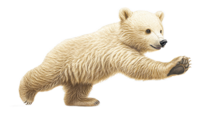 Playful Baby Bear Stretching in Bright Soft Fur