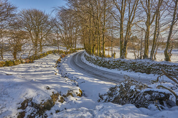 A snowy lane in the dead of winter, Postbridge, Dartmoor National Park, Devon, United Kingdom