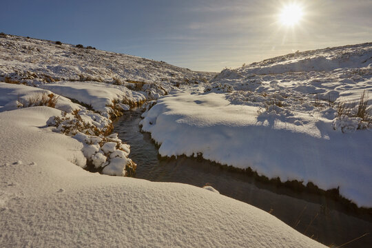A snowbound brook in the dead of winter, near Moretonhampstead, Dartmoor National Park, Devon, United Kingdom
