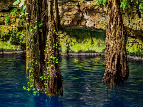 Cenote Oxman, Valladolid, Yucatan State, Mexico