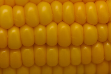 Close-up of cooked yellow corn showing glossy, plump kernels.