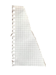 Torn piece of graph paper with visible grid pattern and torn edge on a transparent background