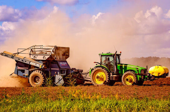 Harvesting peanuts with peanut combine in Grand Bay Alabama