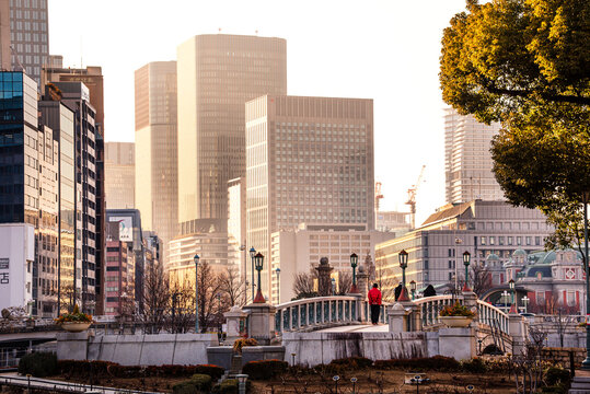 Nakanoshima in Osaka, Japan. A green Island park in the center of Osaka. Golden evening light views over bridges and warm illuminated skyscrapers