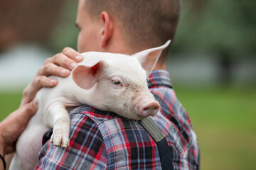 Man carries piglet on his shoulder on farm