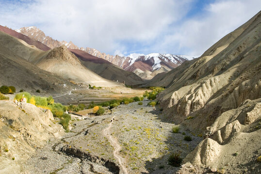 Rumbak valley, Hemis National Park, Ladakh region, state of Jammu and Kashmir, India, Asia
