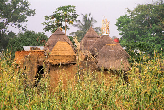 Fortified house, known as Tata Somba ('Somba house') in a Tammari (also known as Batammariba, Tamberma, Somba, Otamari) village, Atakora department, Benin, Gulf of Guinea, West Africa