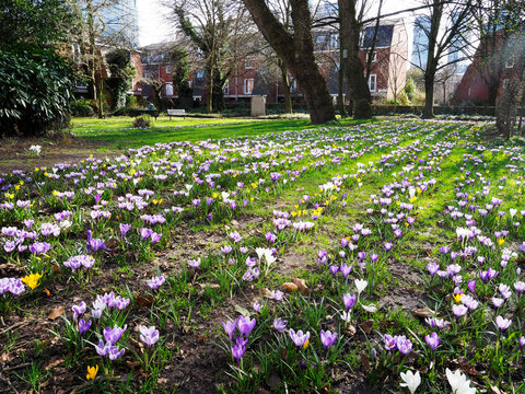 St Johns Gardens Manchester, United Kingdom