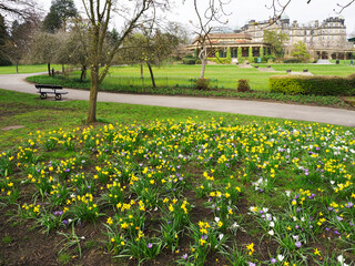 Spring Flowers in Valley Gardens Harrogate, United Kingdom, United Kingdom