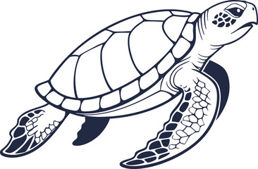vector illustration of turtle
