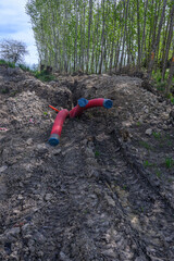 Fototapete bei efototapeten.de bestellen   