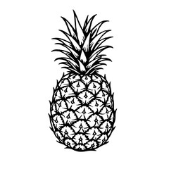 Obraz premium Pineapple line art, black and white illustration, tropical fruit drawing.