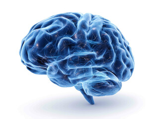 blue digital brain isolated on white background high resolution