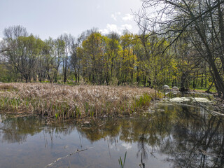 Landscape of South Park in city of Sofia, Bulgaria