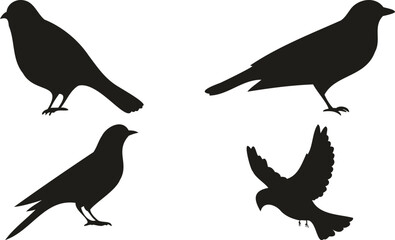 Bird silhouettes in different poses