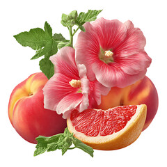 Sun-kissed peach and juicy grapefruit with delicate hollyhock petals – vibrant food photography PNG isolated on transparent background