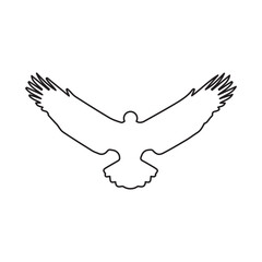 Obraz premium Eagle line icon