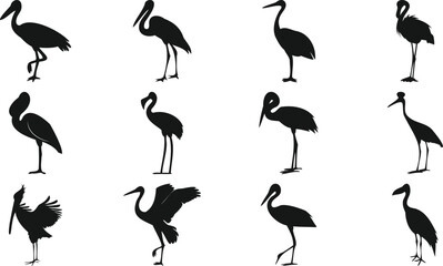 Crane and stork bird silhouettes in various poses