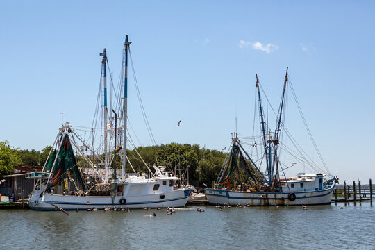Fishing boats surrounded by pelicans  