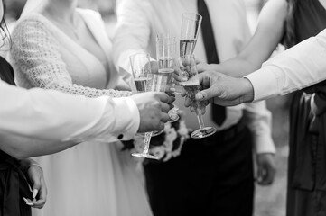 A joyful black and white wedding celebration scene with several people raising champagne glasses in...