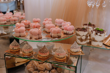 An elegant dessert table display at a luxurious event, showcasing tiered stands filled with pink and brown miniature cakes, cookies, and tiramisu, reflecting a celebratory atmosphere