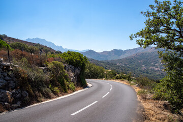 A scenic road stretches ahead, with mountains and green trees