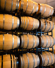 wine barrels in cellar