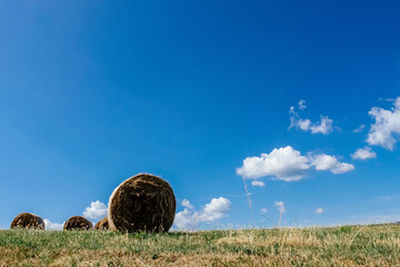 hay bales in the field