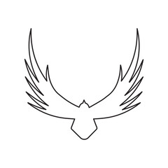 Obraz premium kite falcon line icon