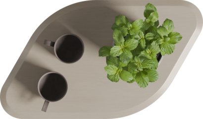 Top view of geometric marble coffee table with green plant on top	