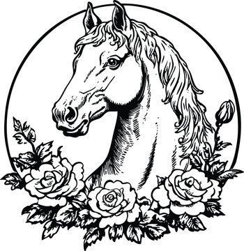 horse vector illustration