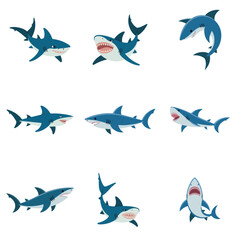set of Shark colorful vector design, vector, shark, fish, pattern, illustration, bird, animal, seamless, design, sea, flying, art, silhouette, icon, nature, birds, blue, ocean, symbol, water