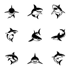 set of Shark Black and White vector design, vector, shark, fish, pattern, illustration, bird, animal, seamless, design, sea, flying, art, silhouette, icon, nature, birds, blue, ocean, symbol, water