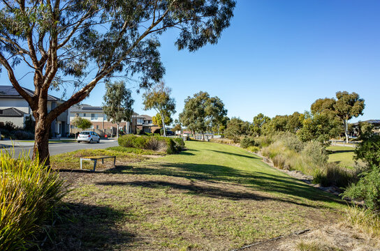 A landscaped green buffer zone between residential housing and a natural drainage corridor, featuring open lawn, native trees in Australia. Suburban public space integrates stormwater management.